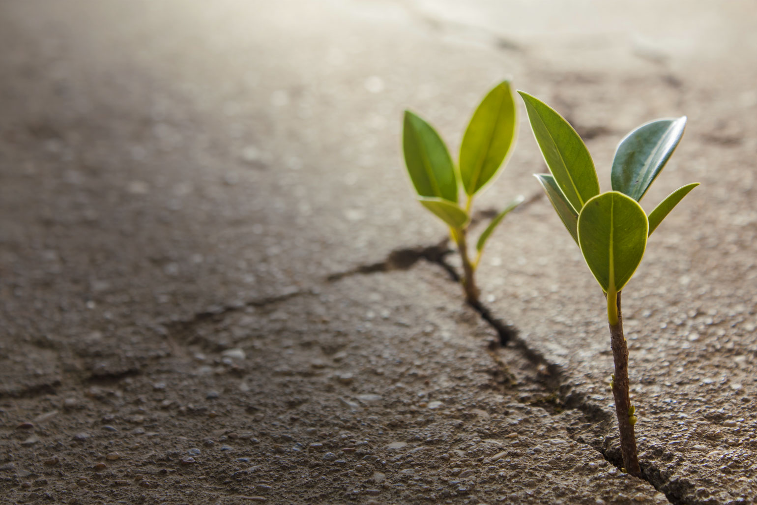 Making a Financial Plan Before You Retire